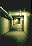 Im Tunnel
